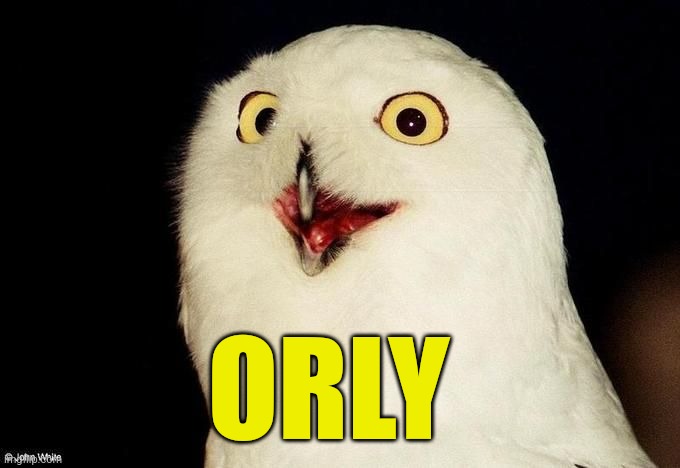 Orly Owl | ORLY | image tagged in orly owl | made w/ Imgflip meme maker