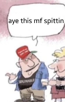 aye this mf spittin Blank Meme Template