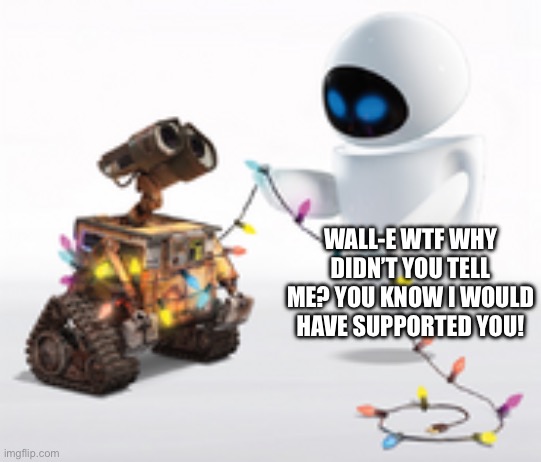 Wall-e and Eve | WALL-E WTF WHY DIDN’T YOU TELL ME? YOU KNOW I WOULD HAVE SUPPORTED YOU! | image tagged in wall-e and eve | made w/ Imgflip meme maker