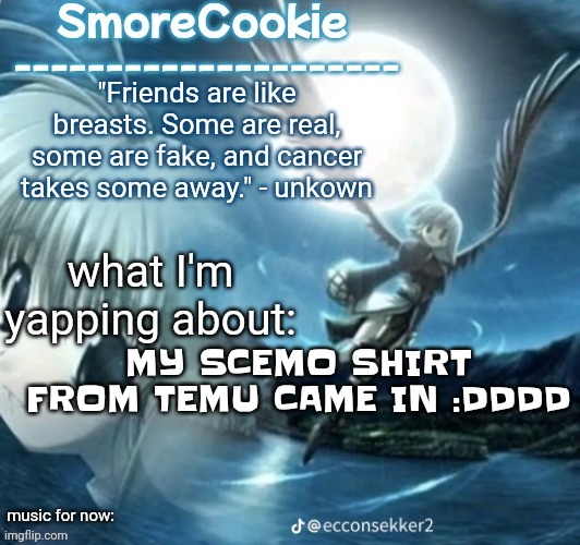 tweaks nightcore ass template | MY SCEMO SHIRT FROM TEMU CAME IN :DDDD | image tagged in tweaks nightcore ass template | made w/ Imgflip meme maker