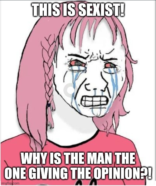 Crying wojak girl | THIS IS SEXIST! WHY IS THE MAN THE ONE GIVING THE OPINION?! | image tagged in crying wojak girl | made w/ Imgflip meme maker