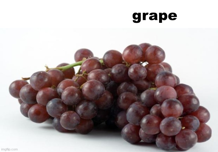we're gonna gangrape you | image tagged in we're gonna gangrape you | made w/ Imgflip meme maker