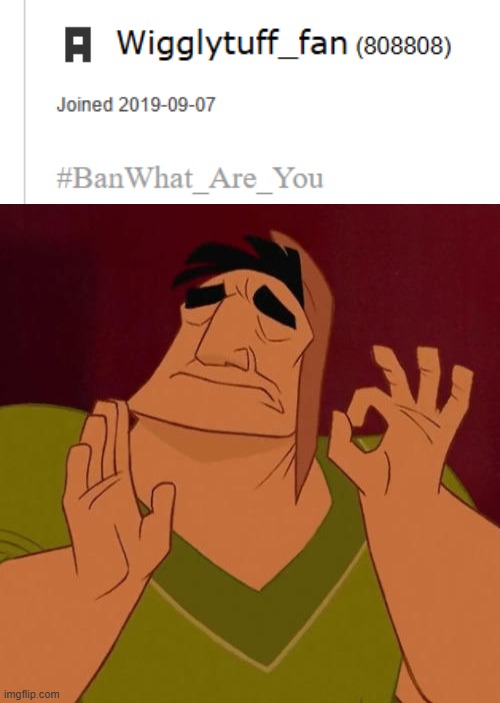 image tagged in when x just right,imgflip,imgflip points | made w/ Imgflip meme maker