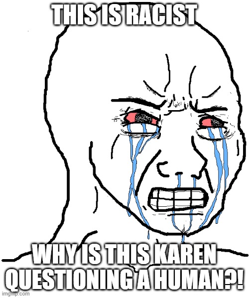 cry wojak | THIS IS RACIST WHY IS THIS KAREN QUESTIONING A HUMAN?! | image tagged in cry wojak | made w/ Imgflip meme maker