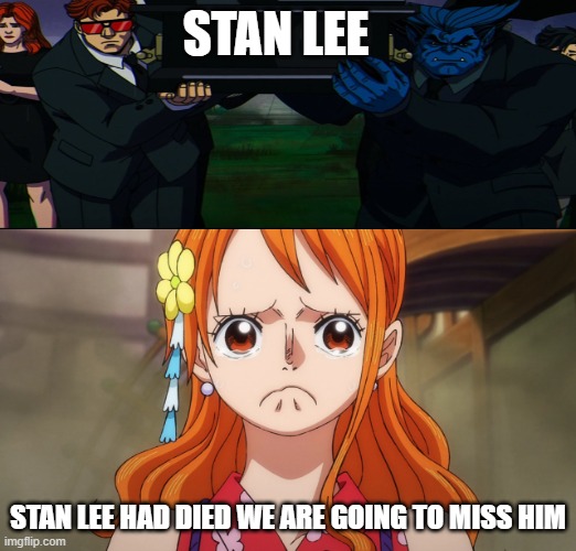 nami crying at stan lee's funeral | STAN LEE; STAN LEE HAD DIED WE ARE GOING TO MISS HIM | image tagged in nami crying,stan lee,funeral,one piece,dancing funeral,miss you | made w/ Imgflip meme maker