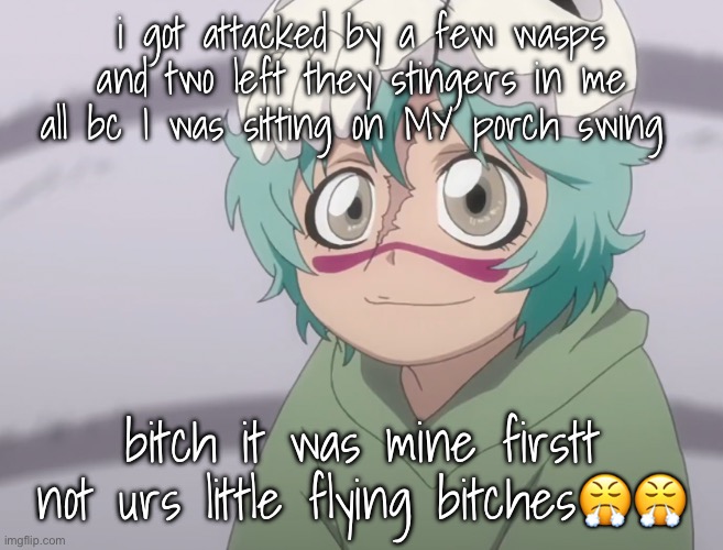 nel | i got attacked by a few wasps and two left they stingers in me all bc I was sitting on MY porch swing; bitch it was mine firstt not urs little flying bitches😤😤 | image tagged in nel | made w/ Imgflip meme maker