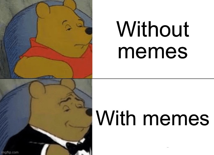 Logic | Without memes; With memes | image tagged in memes,tuxedo winnie the pooh | made w/ Imgflip meme maker