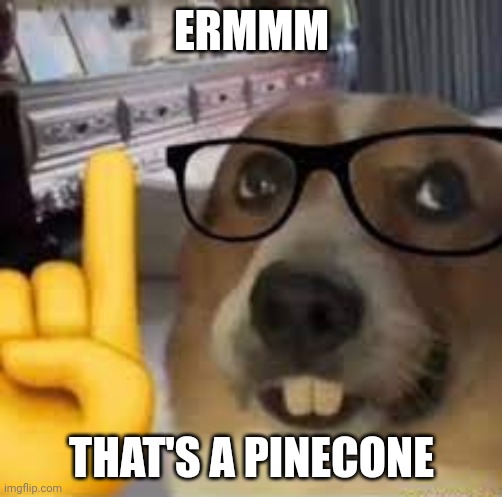 nerd dog | ERMMM THAT'S A PINECONE | image tagged in nerd dog | made w/ Imgflip meme maker