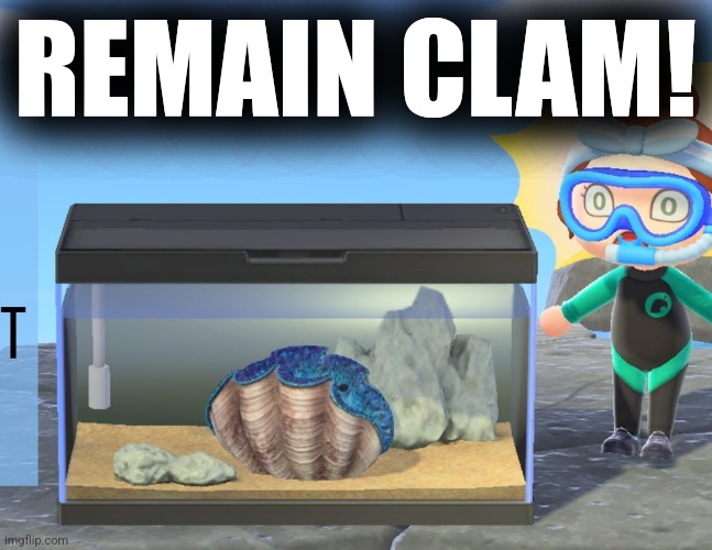 Don't panic | REMAIN CLAM! | image tagged in animal crossing,clam | made w/ Imgflip meme maker