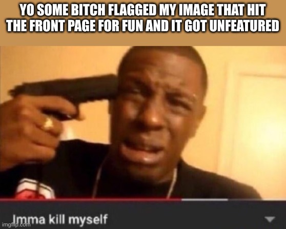 that mf | YO SOME BITCH FLAGGED MY IMAGE THAT HIT THE FRONT PAGE FOR FUN AND IT GOT UNFEATURED | image tagged in imma kill myself | made w/ Imgflip meme maker