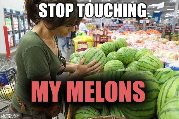 It is not Wednesday yet | STOP TOUCHING; MY MELONS | image tagged in watermelon,wednesday | made w/ Imgflip meme maker