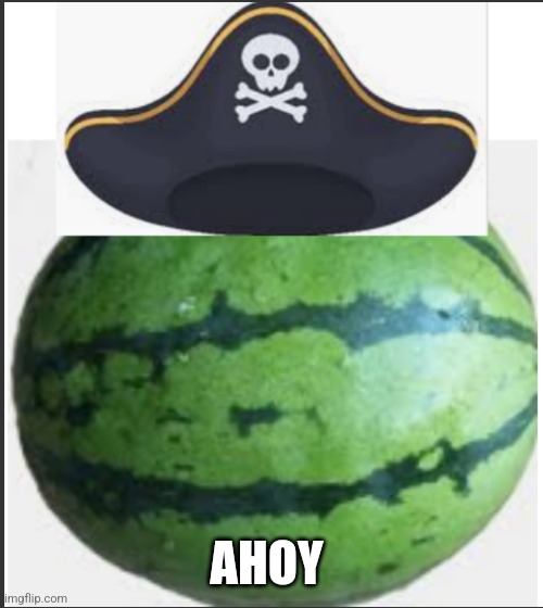 pirate_melon_ | AHOY | image tagged in pirate_melon_ | made w/ Imgflip meme maker