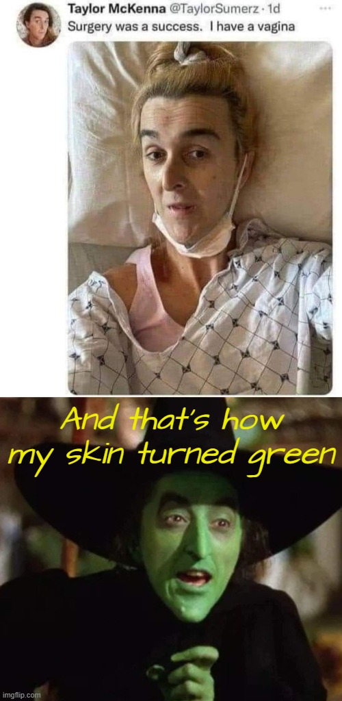 And that's how my skin turned green | image tagged in funny,wicked witch of the west,transgender | made w/ Imgflip meme maker