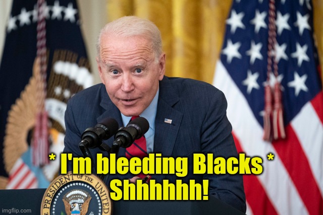 Biden Whisper | * I'm bleeding Blacks *
Shhhhhh! | image tagged in biden whisper | made w/ Imgflip meme maker