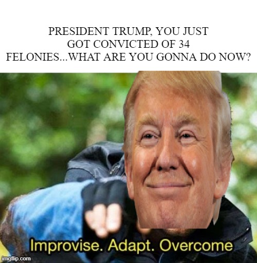 Sounds Like a Speech He Would Make | PRESIDENT TRUMP, YOU JUST GOT CONVICTED OF 34 FELONIES...WHAT ARE YOU GONNA DO NOW? | image tagged in bear grylls improvise adapt overcome | made w/ Imgflip meme maker