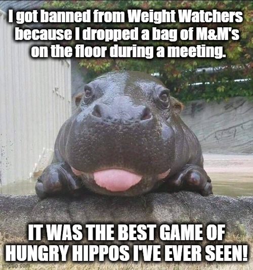 I got kicked out of Weight Watchers! | I got banned from Weight Watchers 
because I dropped a bag of M&M's
 on the floor during a meeting. IT WAS THE BEST GAME OF HUNGRY HIPPOS I'VE EVER SEEN! | image tagged in hungey hungry hippo,weight watchers | made w/ Imgflip meme maker