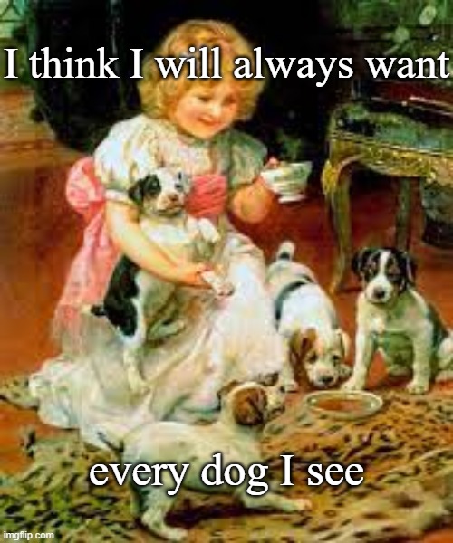 I think I will always want; every dog I see | image tagged in cute puppies,dogs | made w/ Imgflip meme maker