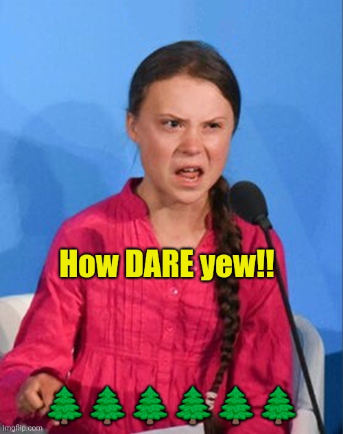 Greta Thunberg how dare you | How DARE yew!! ?????? | image tagged in greta thunberg how dare you | made w/ Imgflip meme maker