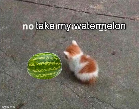 no talk me am angy | take my watermelon | image tagged in no talk me am angy | made w/ Imgflip meme maker