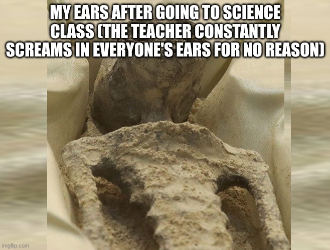 rtjjdfnhxgvjohbscgrdfjhvbfhjrfcdjlsbgjvjhbsrhdf | MY EARS AFTER GOING TO SCIENCE CLASS (THE TEACHER CONSTANTLY SCREAMS IN EVERYONE'S EARS FOR NO REASON) | image tagged in yut,fkyftj,h,u,fhkj,nry | made w/ Imgflip meme maker