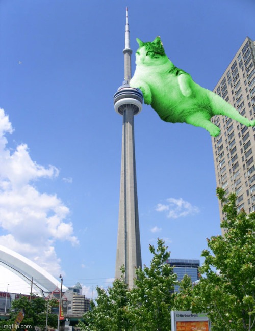 RayCat pushes CN Tower | image tagged in raycat,cn tower | made w/ Imgflip meme maker