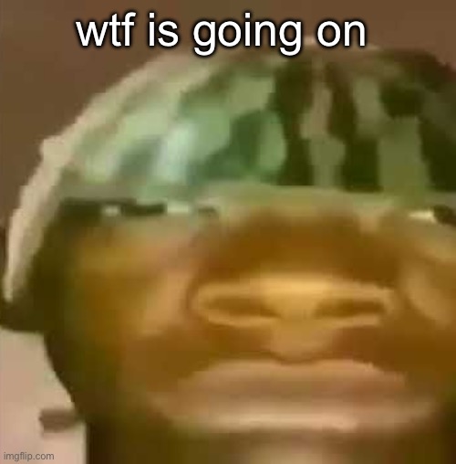 shitpost | wtf is going on | image tagged in shitpost | made w/ Imgflip meme maker