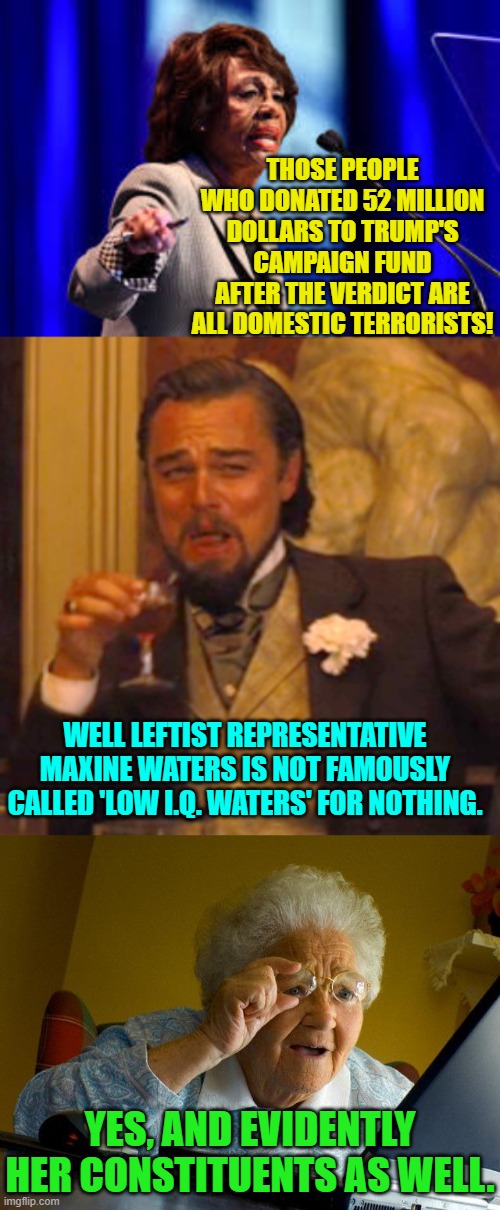 On the Left, effectively low I.Q.s seem to be the norm. | THOSE PEOPLE WHO DONATED 52 MILLION DOLLARS TO TRUMP'S CAMPAIGN FUND AFTER THE VERDICT ARE ALL DOMESTIC TERRORISTS! WELL LEFTIST REPRESENTATIVE MAXINE WATERS IS NOT FAMOUSLY CALLED 'LOW I.Q. WATERS' FOR NOTHING. YES, AND EVIDENTLY HER CONSTITUENTS AS WELL. | image tagged in yep | made w/ Imgflip meme maker