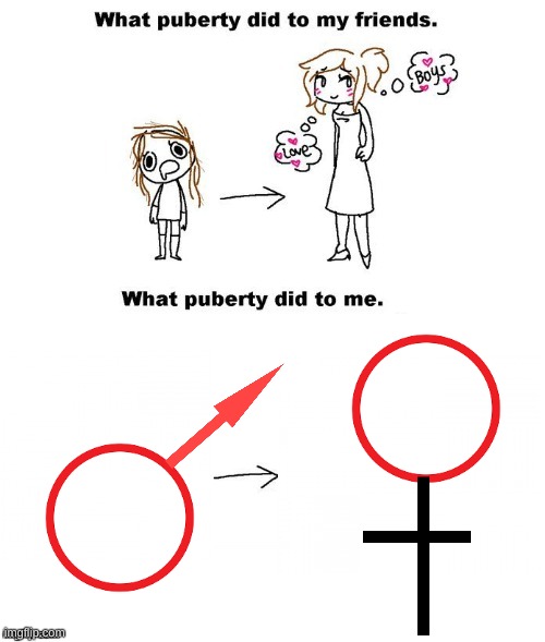 What puberty did to me  | image tagged in what puberty did to me | made w/ Imgflip meme maker