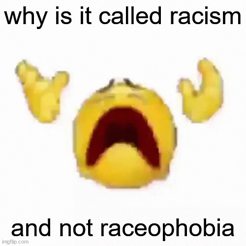 /genq | why is it called racism; and not raceophobia | image tagged in nooo | made w/ Imgflip meme maker
