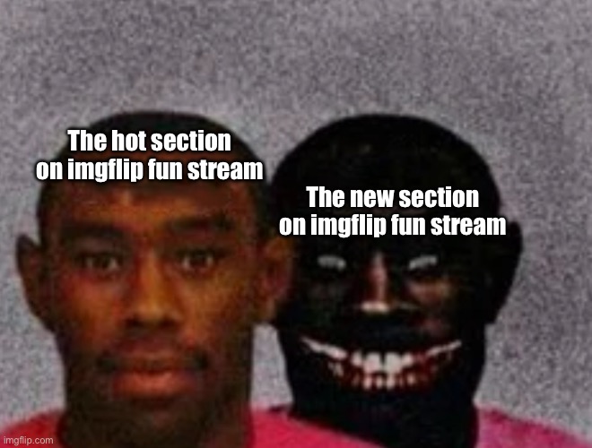 Good Tyler and Bad Tyler | The hot section on imgflip fun stream; The new section on imgflip fun stream | image tagged in good tyler and bad tyler | made w/ Imgflip meme maker