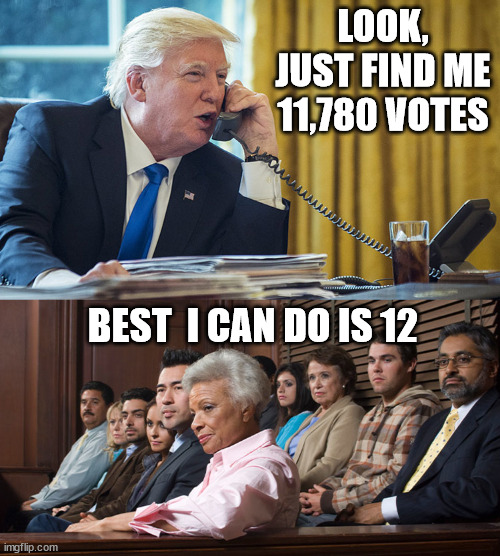 Just find the votes! | LOOK, JUST FIND ME 11,780 VOTES; BEST  I CAN DO IS 12 | image tagged in donald trump,jury duty,court | made w/ Imgflip meme maker