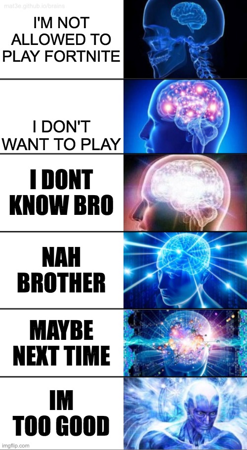 6-Tier Expanding Brain | I'M NOT ALLOWED TO PLAY FORTNITE; I DON'T WANT TO PLAY; I DONT KNOW BRO; NAH BROTHER; MAYBE NEXT TIME; IM TOO GOOD | image tagged in 6-tier expanding brain | made w/ Imgflip meme maker
