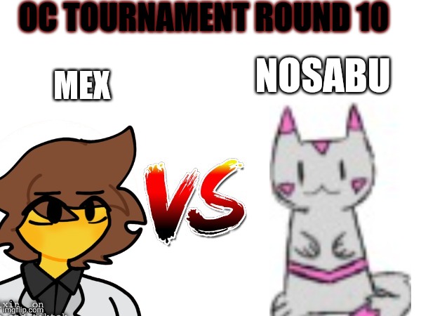 It took me so long to find a picture of Nosabu | OC TOURNAMENT ROUND 10; MEX; NOSABU | image tagged in oc tournament frame | made w/ Imgflip meme maker