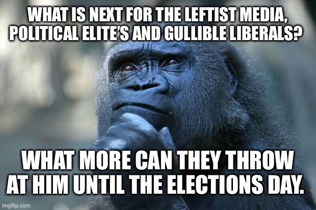 Trump take a licking and keeps on ticking. | WHAT IS NEXT FOR THE LEFTIST MEDIA, POLITICAL ELITE’S AND GULLIBLE LIBERALS? WHAT MORE CAN THEY THROW AT HIM UNTIL THE ELECTIONS DAY. | image tagged in deep thoughts | made w/ Imgflip meme maker