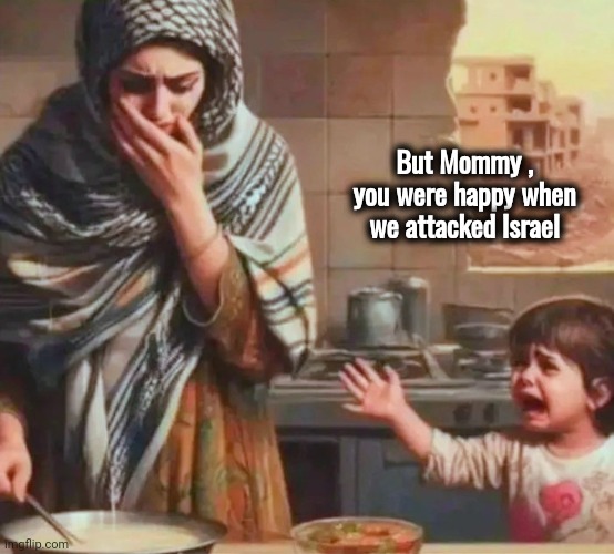 Everybody's a victim | But Mommy , you were happy when we attacked Israel | image tagged in israel,peace,well yes but actually no,attacked daily,enough is enough | made w/ Imgflip meme maker