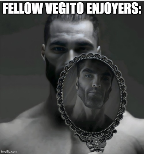 Gigachad Mirror | FELLOW VEGITO ENJOYERS: | image tagged in gigachad mirror | made w/ Imgflip meme maker