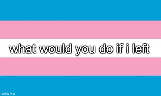 either by [redacted] or myself | what would you do if i left | image tagged in transgender flag | made w/ Imgflip meme maker