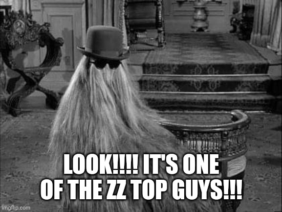 Cousin ZZ Top | LOOK!!!! IT'S ONE OF THE ZZ TOP GUYS!!! | image tagged in awesome,beards | made w/ Imgflip meme maker