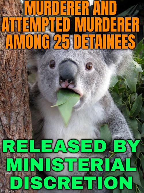 Documents Reveal Murderer And Attempted Murderer Among 25 Detainees Released By Ministerial Discretion | MURDERER AND ATTEMPTED MURDERER AMONG 25 DETAINEES; RELEASED BY
MINISTERIAL
DISCRETION | image tagged in memes,surprised koala,murder,meanwhile in australia,australia,australians | made w/ Imgflip meme maker