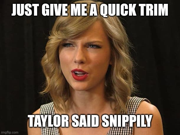 Taylor said snippily | JUST GIVE ME A QUICK TRIM; TAYLOR SAID SNIPPILY | image tagged in taylor swiftie | made w/ Imgflip meme maker