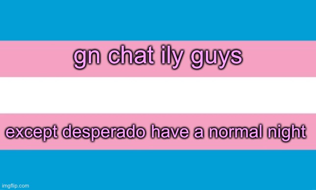 as always a special gn to lala ^_^ | gn chat ily guys; except desperado have a normal night | image tagged in transgender flag | made w/ Imgflip meme maker