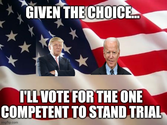 American flag | GIVEN THE CHOICE... I'LL VOTE FOR THE ONE COMPETENT TO STAND TRIAL | image tagged in american flag,trump,biden | made w/ Imgflip meme maker