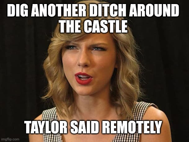 Taylor said remotely | DIG ANOTHER DITCH AROUND 
THE CASTLE; TAYLOR SAID REMOTELY | image tagged in taylor swiftie | made w/ Imgflip meme maker