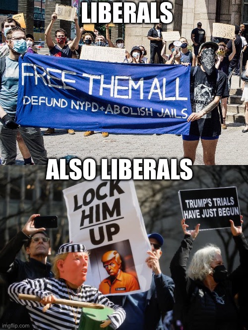 Liberals are hypocrites | LIBERALS; ALSO LIBERALS | image tagged in liberal hypocrisy,liberal logic,donald trump,stupid liberals,memes,joe biden | made w/ Imgflip meme maker