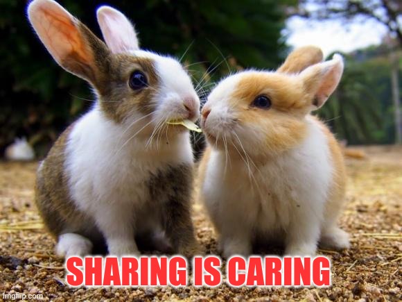 Sharing is Caring 2 | SHARING IS CARING | image tagged in sharing is caring 2 | made w/ Imgflip meme maker