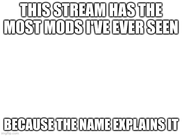 Every mod beggars dream | THIS STREAM HAS THE MOST MODS I'VE EVER SEEN; BECAUSE THE NAME EXPLAINS IT | image tagged in mod,beggar,blank | made w/ Imgflip meme maker