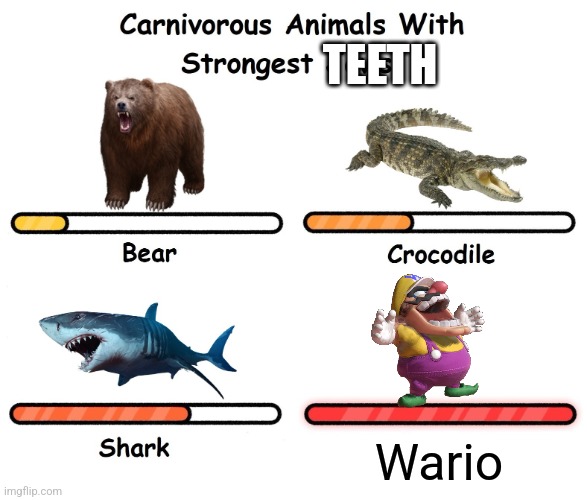 Carnivorus animals with strongest jaws | TEETH; Wario | image tagged in carnivorus animals with strongest jaws | made w/ Imgflip meme maker