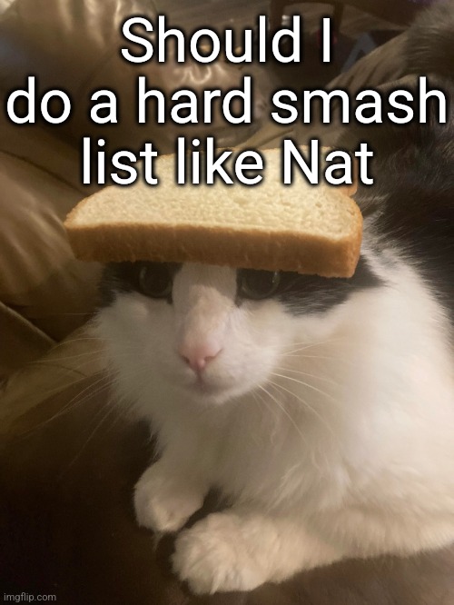 !!WARNING!! FURRIES!!! | Should I do a hard smash list like Nat | image tagged in bread cat | made w/ Imgflip meme maker