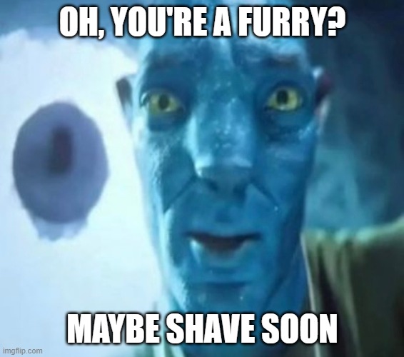 Avatar guy | OH, YOU'RE A FURRY? MAYBE SHAVE SOON | image tagged in avatar guy | made w/ Imgflip meme maker