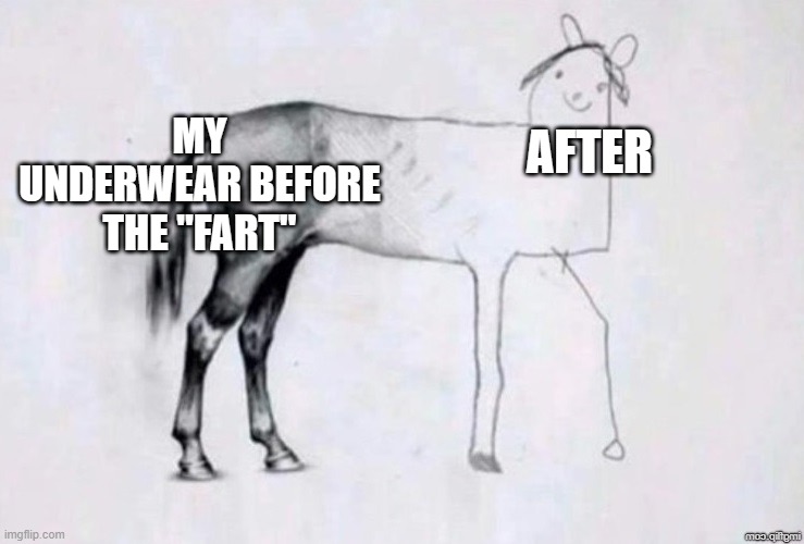 Horse Drawing | MY UNDERWEAR BEFORE THE "FART"; AFTER | image tagged in horse drawing | made w/ Imgflip meme maker